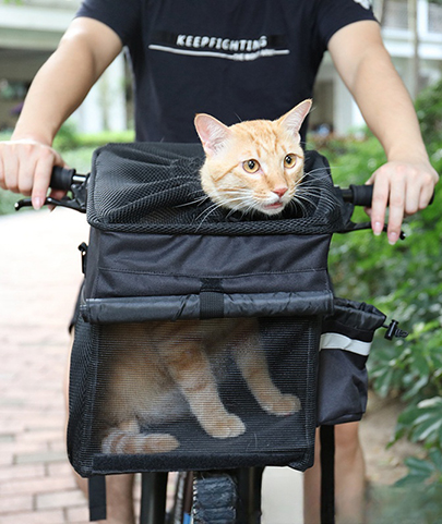 Adult Backpack